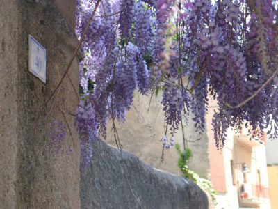 Glicine. Ingresso al cortile del Museo Deleddiano