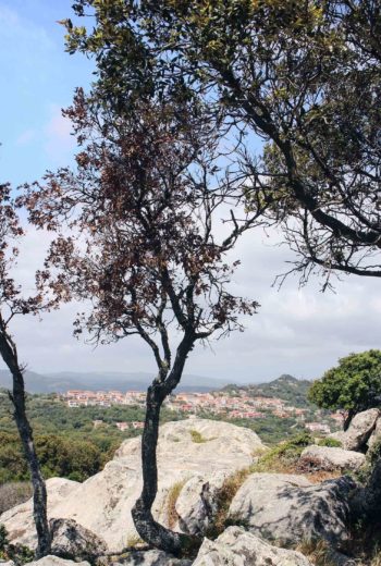 Veduta dall'eremo di San Trano - Luogosanto in Gallura - Sardegna